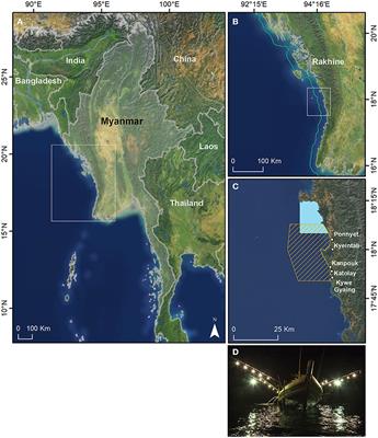 Shining Light on Data-Poor Coastal Fisheries